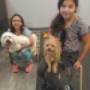 Photo Photo