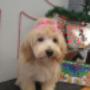 Photo Photo