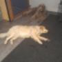 Photo Photo
