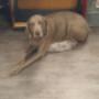 Photo Photo