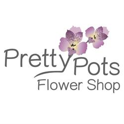 Pretty Pots