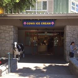 Cows Whistler