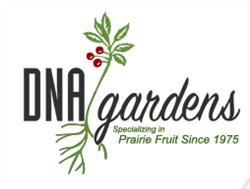 D n a Gardens