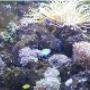 Photo Photo