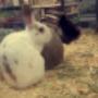 Photo Photo