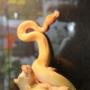 Photo Photo