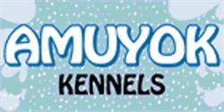 Amuyok Kennels