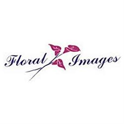 Floral Images
