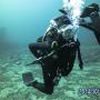 Oakville Divers Toronto Oakville Divers Toronto
