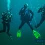 Oakville Divers Toronto Oakville Divers Toronto