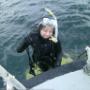 Oakville Divers Toronto Oakville Divers Toronto