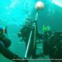 Oakville Divers Toronto Oakville Divers Toronto