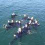 Private Scuba Classes with Oakville Divers Scuba G Private Scuba Classes with Oakville Divers Scuba G