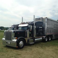 Thur Transport