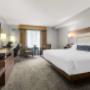 King Bed King Bed