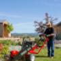 Barretto Stump Grinder for Rent Barretto Stump Grinder for Rent
