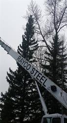 Rayco Steel Ltd