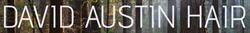 David Austin Hair