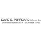 David G. Perrigard CPA auditor, CA