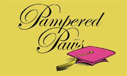 Pampered Paws Limited