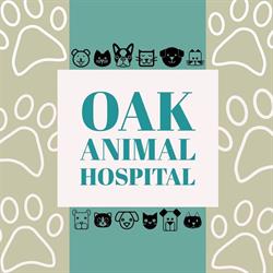Oak Animal Hospital