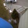 Condo Truck Mount Steam Cleaning Condo Truck Mount Steam Cleaning