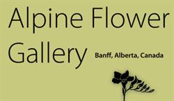 Alpine Flower & Gifts