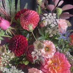 Oyster River Florist