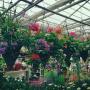 Chargé par visiteur le 2016-04-04 - The largest covered in garden center in the area! Chargé par visiteur le 2016-04-04 - The largest covered in garden center in the area!