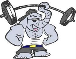 Alberni Fitness