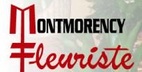 Fleuriste Montmorency Inc