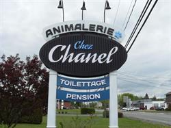 Animalerie Chez Chanel