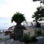 Photo Photo