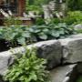 Photo Photo