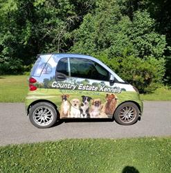 Country Estate Kennels