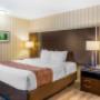 Guest room with king bed(s) Guest room with king bed(s)