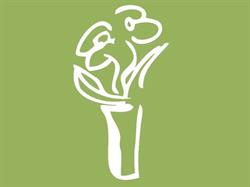 Nature's Wonders Florist