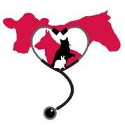 Paris Veterinary Clinic
