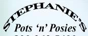 Stephanies Pots Nposies