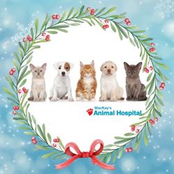 Mackays Animal Hospital