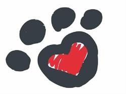 Pembroke Animal Hospital