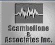Scambellone & Associates