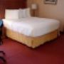 Queen Suite with Kitchenette and Sofa Bed Queen Suite with Kitchenette and Sofa Bed