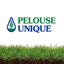 Pelouse Unique (1989) Incorporated