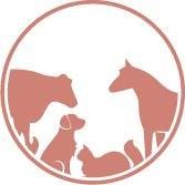 Mildmay Veterinary Clinic