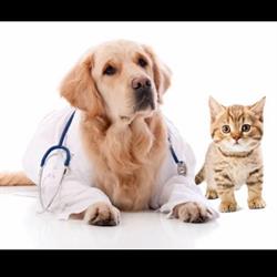 Smith Veterinary Hospital