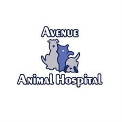 Avenue Animal Hospital Ltd