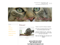 Cat Hospital Of Burlington