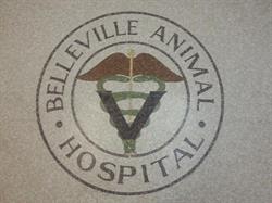 Belleville Animal Hospital