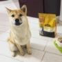 Acana Dog food Acana Dog food